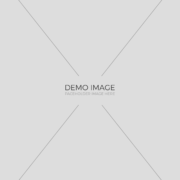 demo-img-3