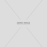 demo-img-3-2